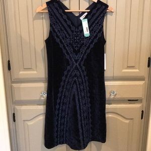 Stitch Fix Velvet Dress